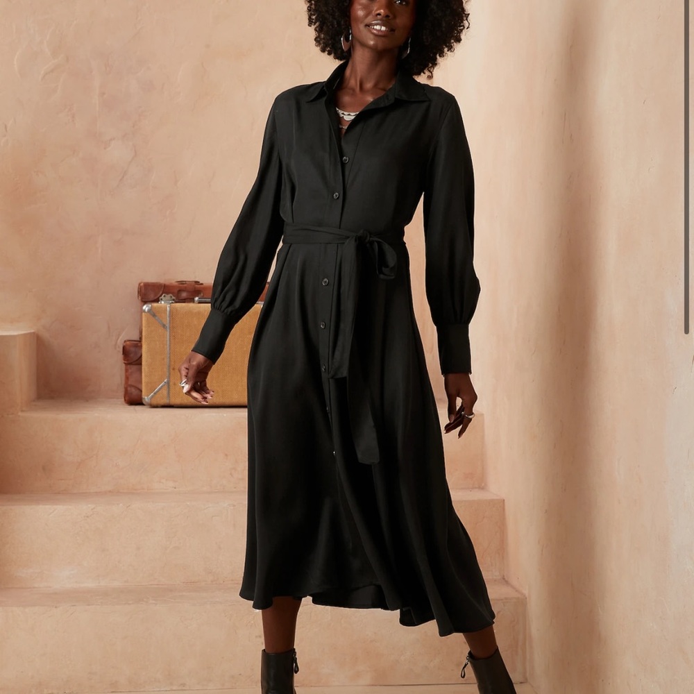 Banana Republic Factory Belted Tencel Shirt Dress